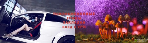 ешки Алексеевка
