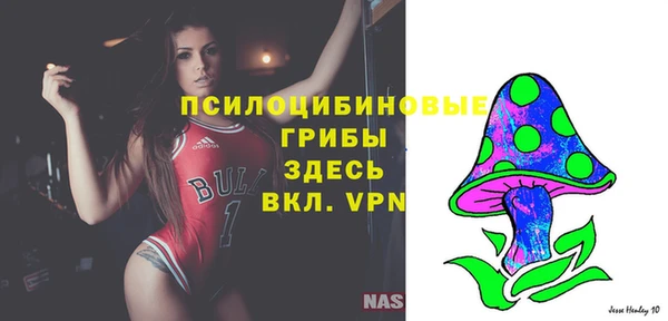ешки Алексеевка