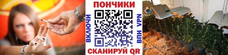 Шишки марихуана марихуана  Купить закладки  Макарьев 